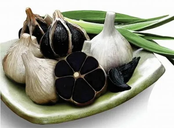 تصویر 4 از قیمت خرید سیر سیاه فله همدا + فروش ویژه